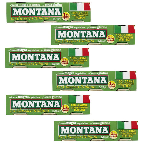 Montana carne classica Rindfleisch in Aspik 100% Fleisch 3x70g Original italienisch Feinkost
