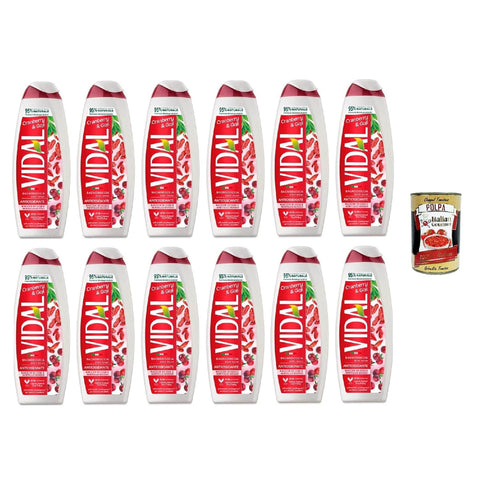 Vidal Bagnodoccia Bacche di Goji e Mirtillo Rosso, Goji Beeren Cranberry Duschgel 12x500ml Original italienisch Pflege