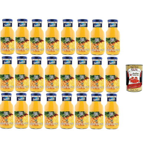 Santal Big Ananas Fruchtsaft mit Ananasgeschmack 24x250ml Original italienisch Getränk