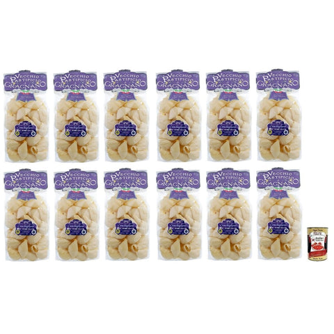 Il Vecchio Pastificio di Gragnano Pasta Conchiglioni Gragnano IGP-Nudeln aus Hartweizengrieß von höchster Qualität 500 g 12x italienisch Original + kostenlos Polpa