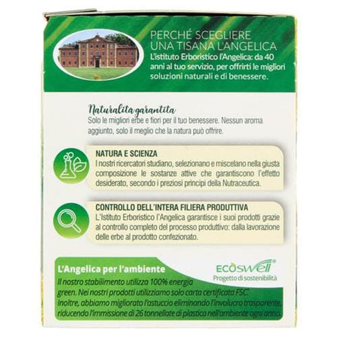 L'angelica Kräutertee 10x L' Angelica Le Tisane Finocchio Triplo Active Fencheltee zur Linderung von Blähungen und zur Förderung der Verdauung 18 Filtri 36 g