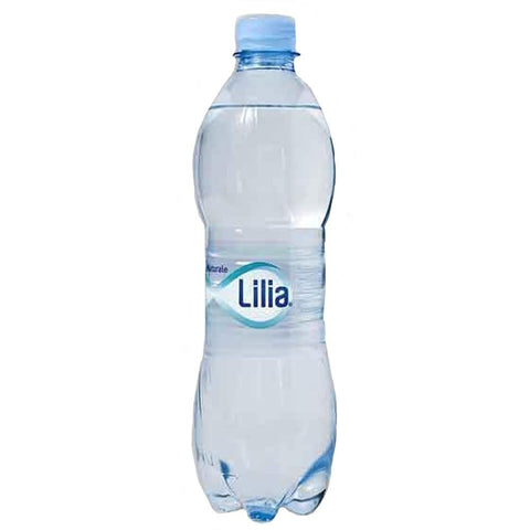 NATRLICHES WASSER 24 FLASCHEN 1x500cl Original italienisch Getränk