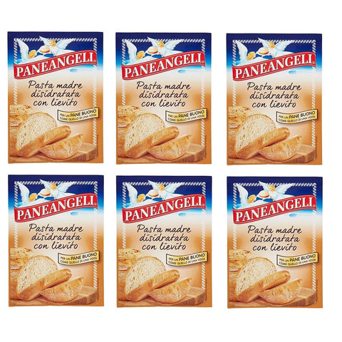 Paneangeli Trockenhefe Paneangeli Pasta madre Mutter Pasta mit Hefe dehydriert für Brot bread 30 g Trockenhefe italienisch Original 8003000368103